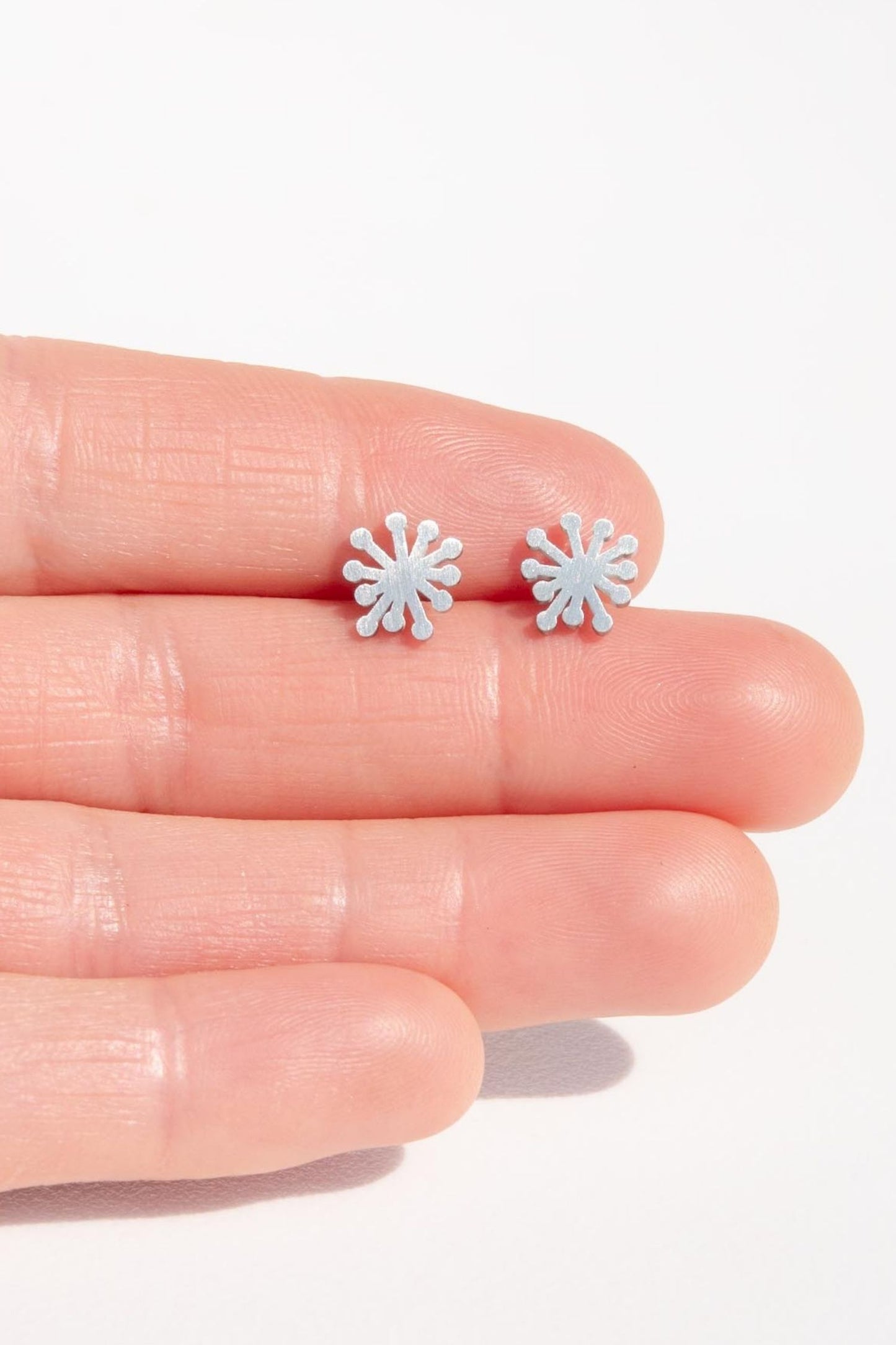 Dandelion studs