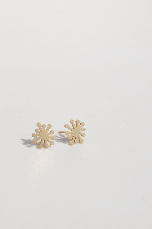 Dandelion studs