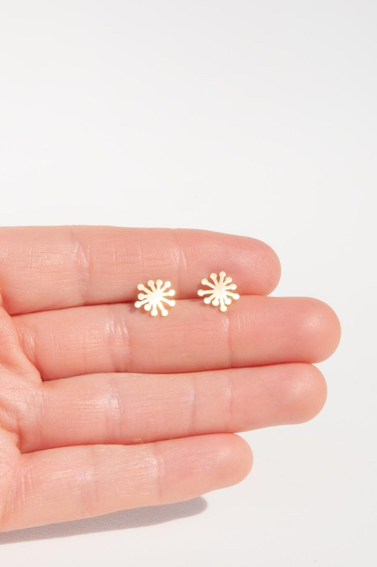 Dandelion studs