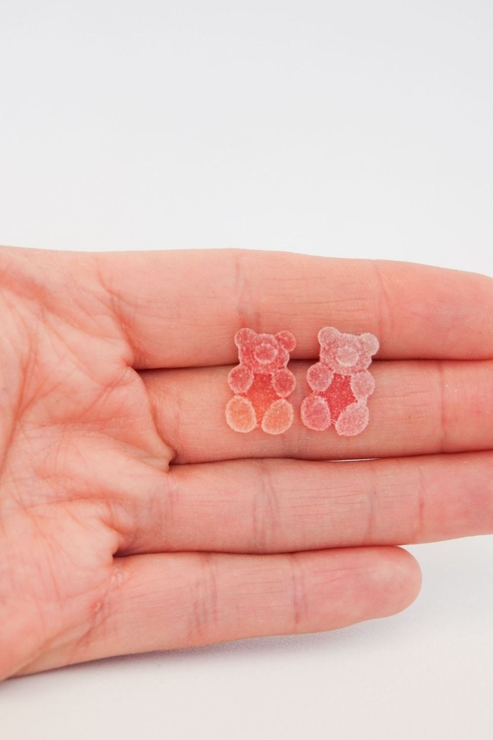 Teddy Gummies